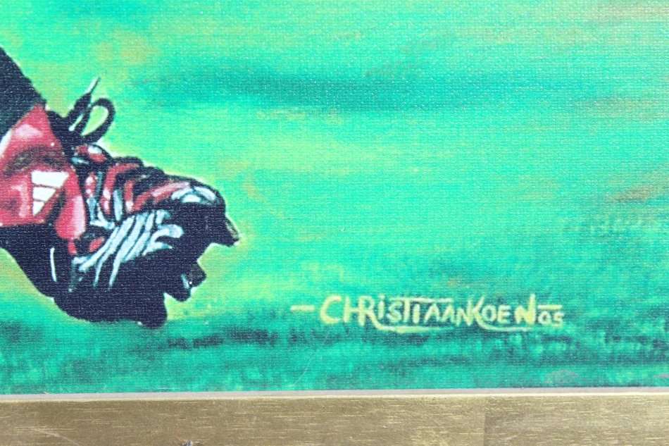 Christiaan Koen print of Marius Joubert - In full flight - A beautiful print