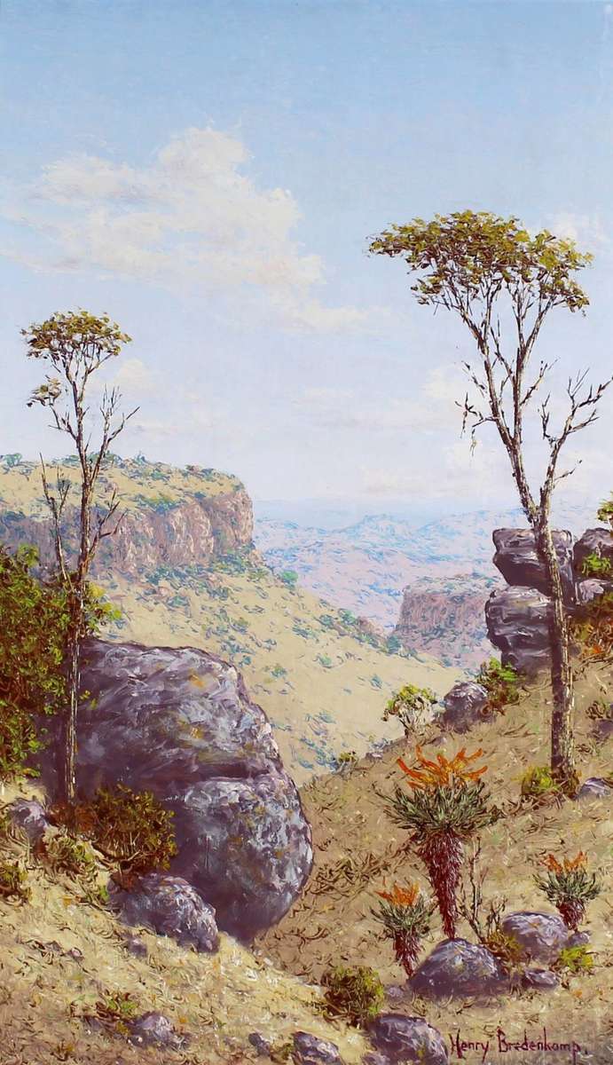 Henry Bredenkamp - Valley scene with aloes - A beautiful painting - Bid now!!