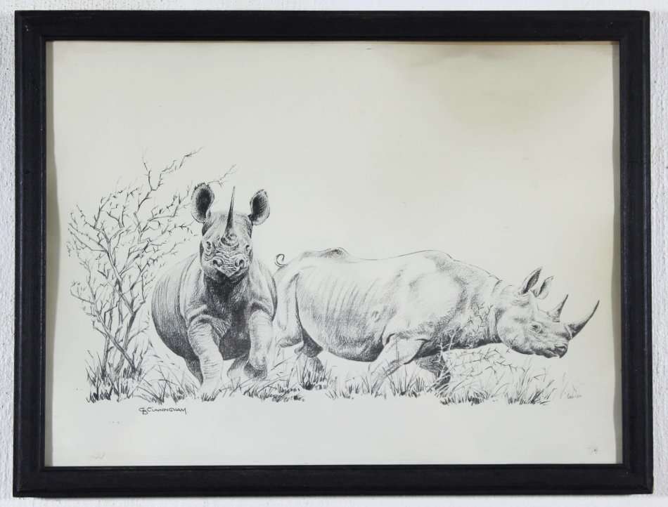 D Cunningham - Rhino's - A little treasure! Bid now!