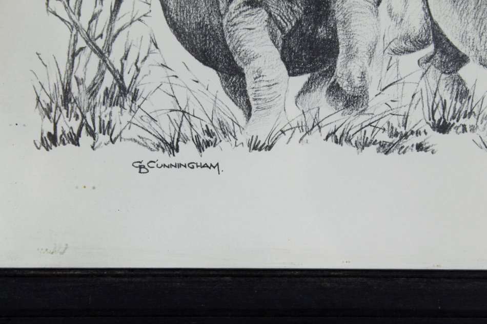D Cunningham - Rhino's - A little treasure! Bid now!