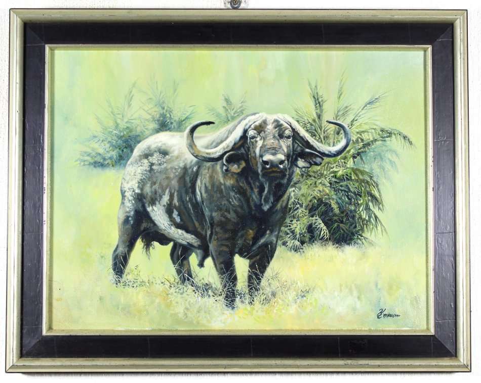 McAllister - Buffalo - Oil painting - A beauty, bid now!!