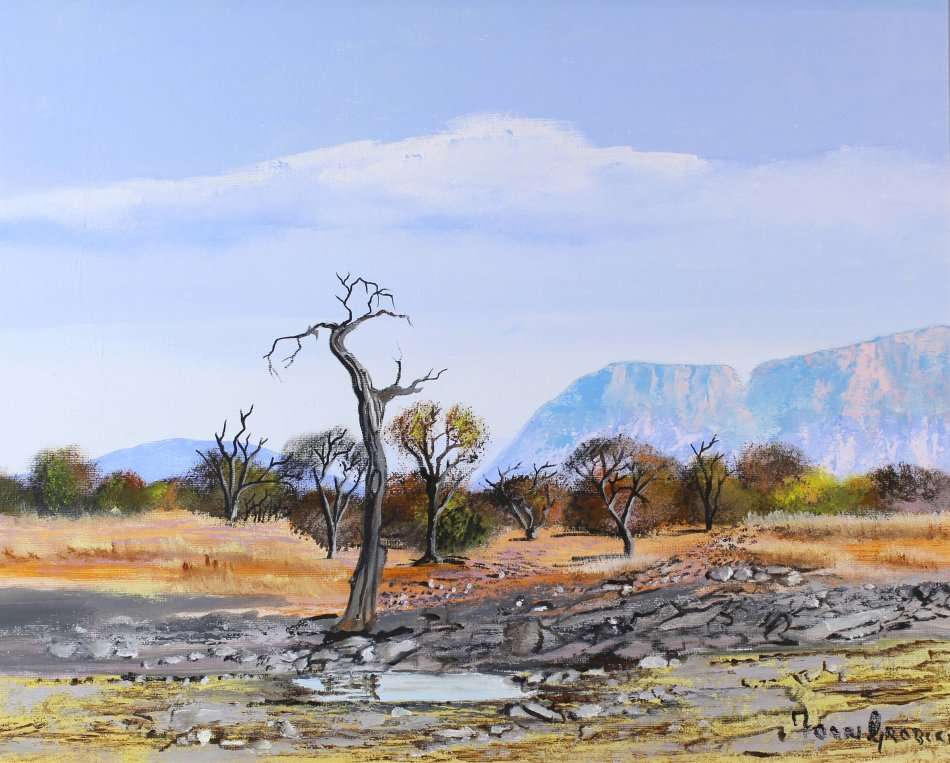 Faan Grobler - Landscape - Magnificent investment art!! - Bid now!