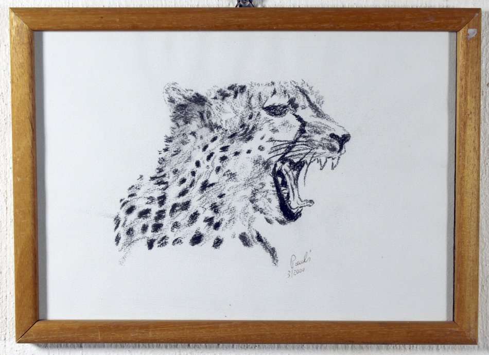 Paul`s - Cheetah