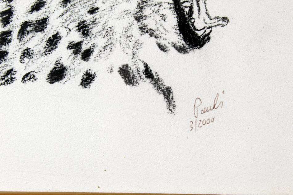 Paul`s - Cheetah