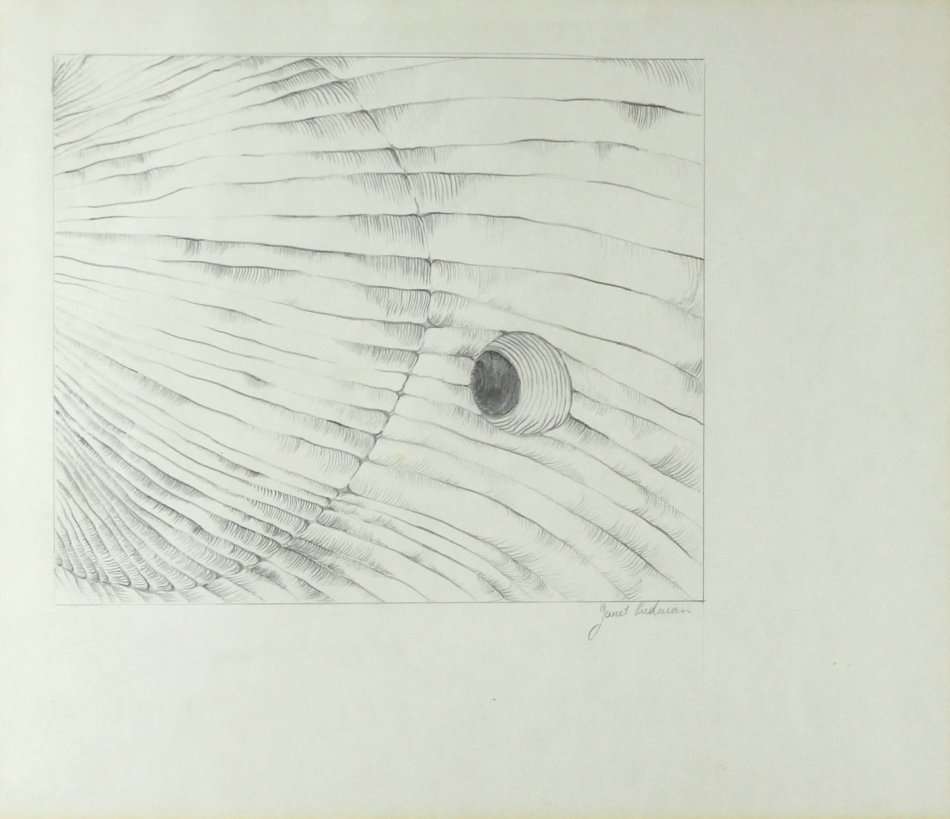 Janer Rudman - Pencil sketch - A lovely little abstract! - Bid now!