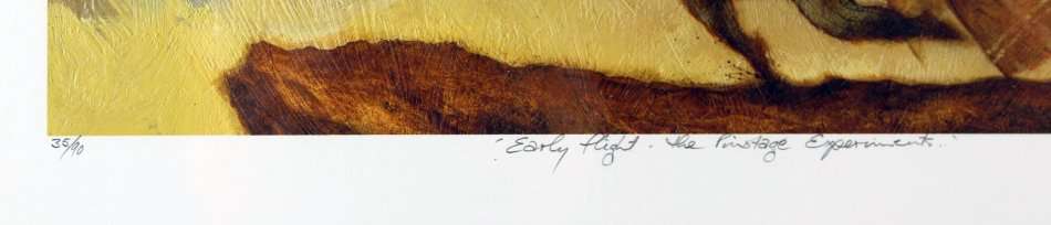 Simon Addy - Early flight - the Pinotage experiment - Limited edition print! - With COA - Bid now!