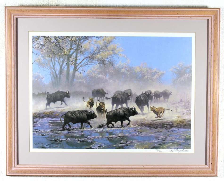 Paul Augustinus - Buffalo - A beautiful limited edition framed print!! - Giveaway price! - Bid now!!