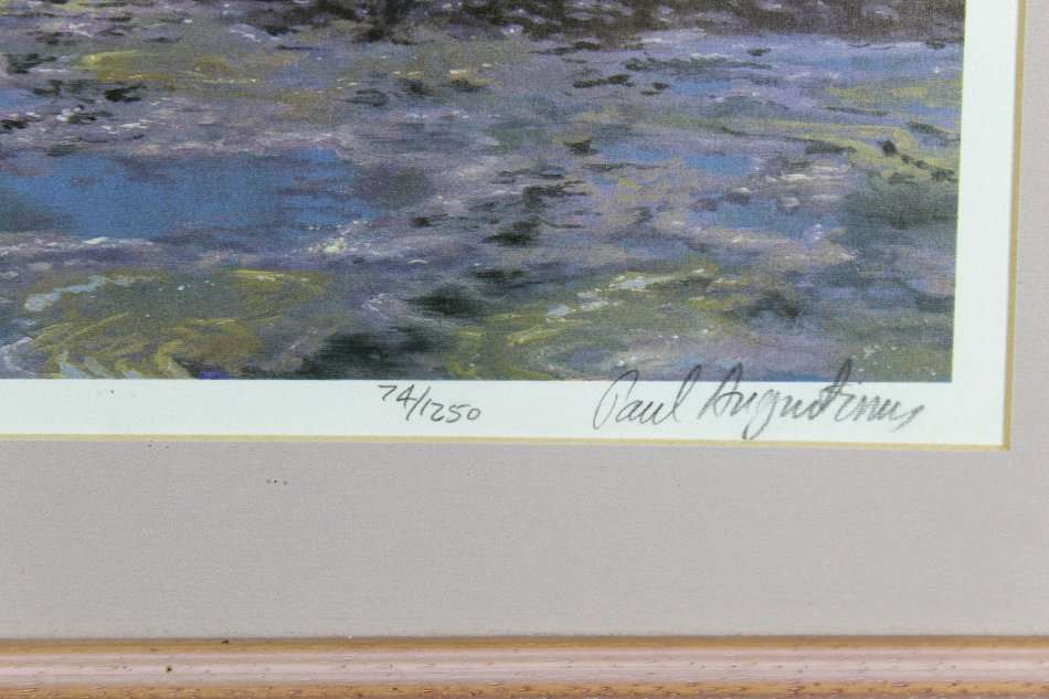 Paul Augustinus - Buffalo - A beautiful limited edition framed print!! - Giveaway price! - Bid now!!