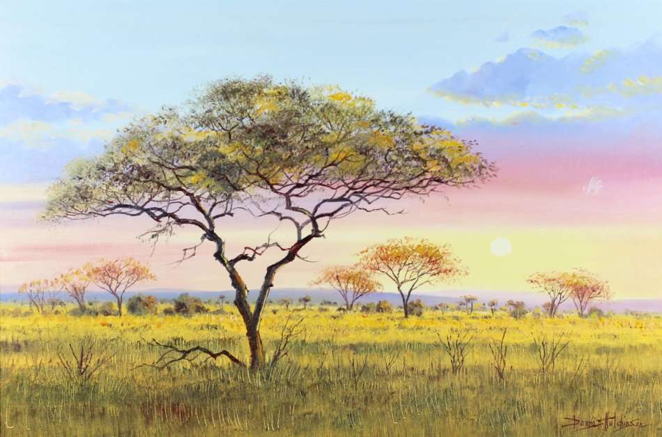 Dennis Hutchinson - Bushveld - A stunner! - Invest today, bid now!
