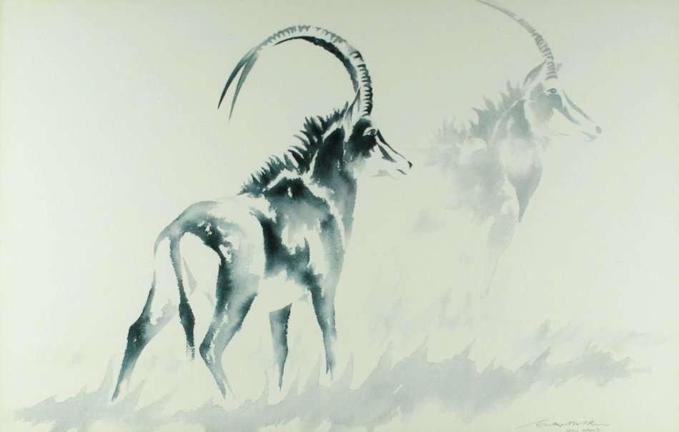 Clive Walker - Sable Antelope - A lovely print! - Giveaway price, bid now!!