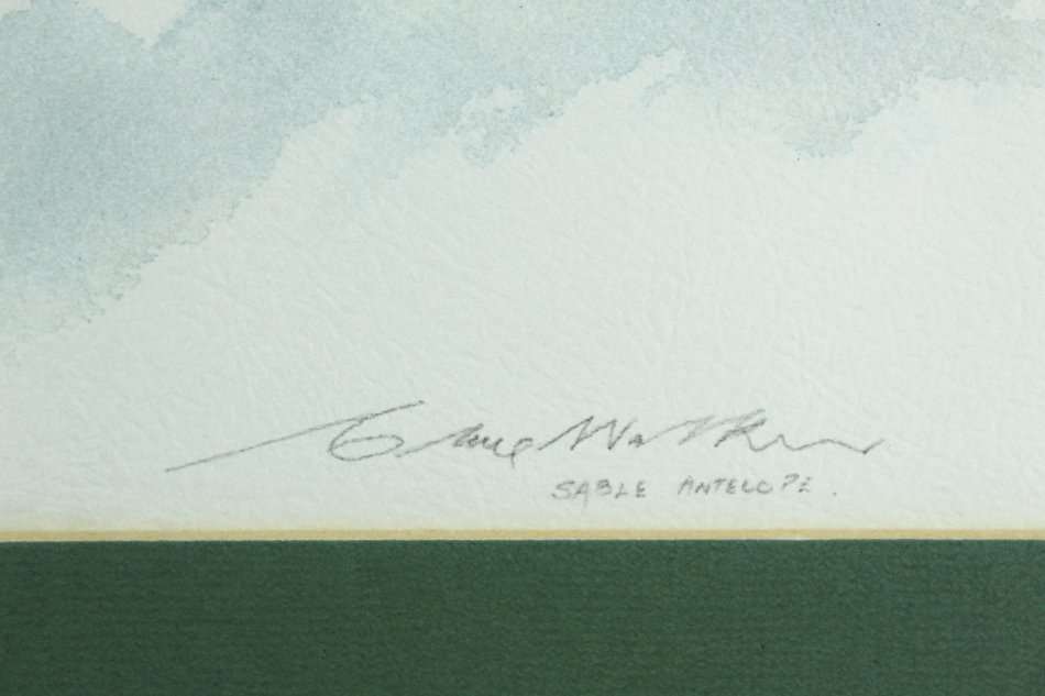 Clive Walker - Sable Antelope - A lovely print! - Giveaway price, bid now!!