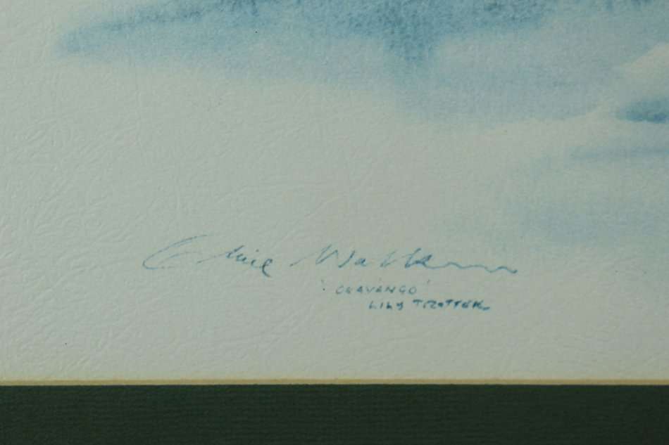 Clive Walker - Okavango Lilly Trapper - A lovely print! - Giveaway price, bid now!!