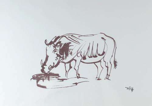 Zakkie Eloff - Warthog