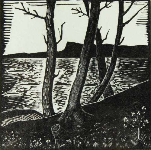 FM Green - Island of Egg