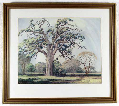 Pierneef - Large tree - Iconic scene - A beautiful print!! Bid now!
