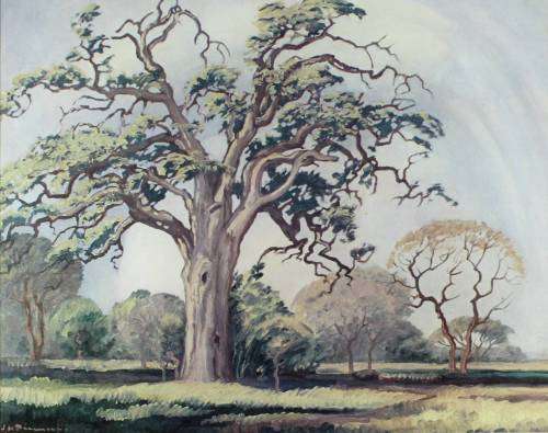 Pierneef - Large tree - Iconic scene - A beautiful print!! Bid now!