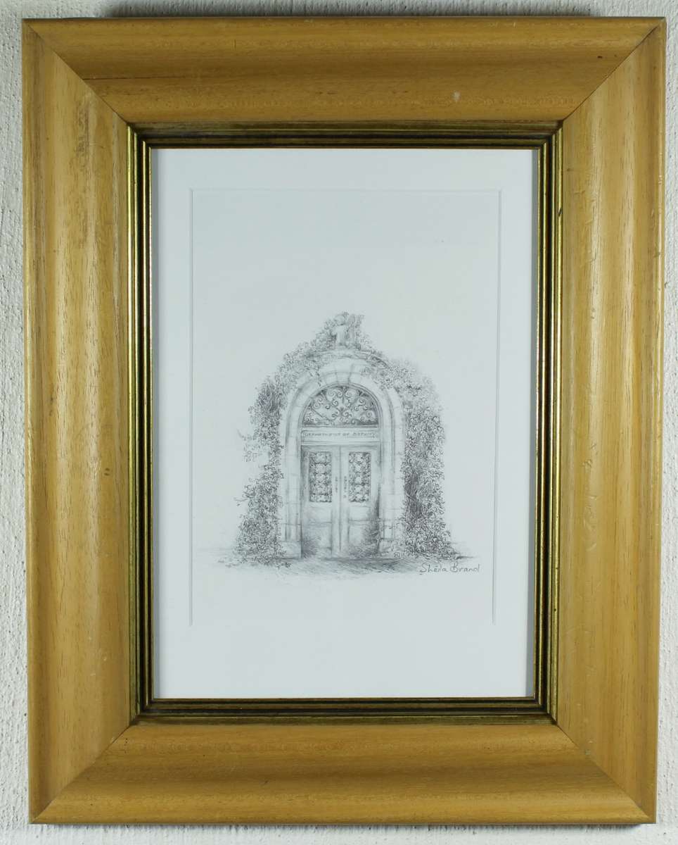 Sheila Brand - Department of Botany UCT