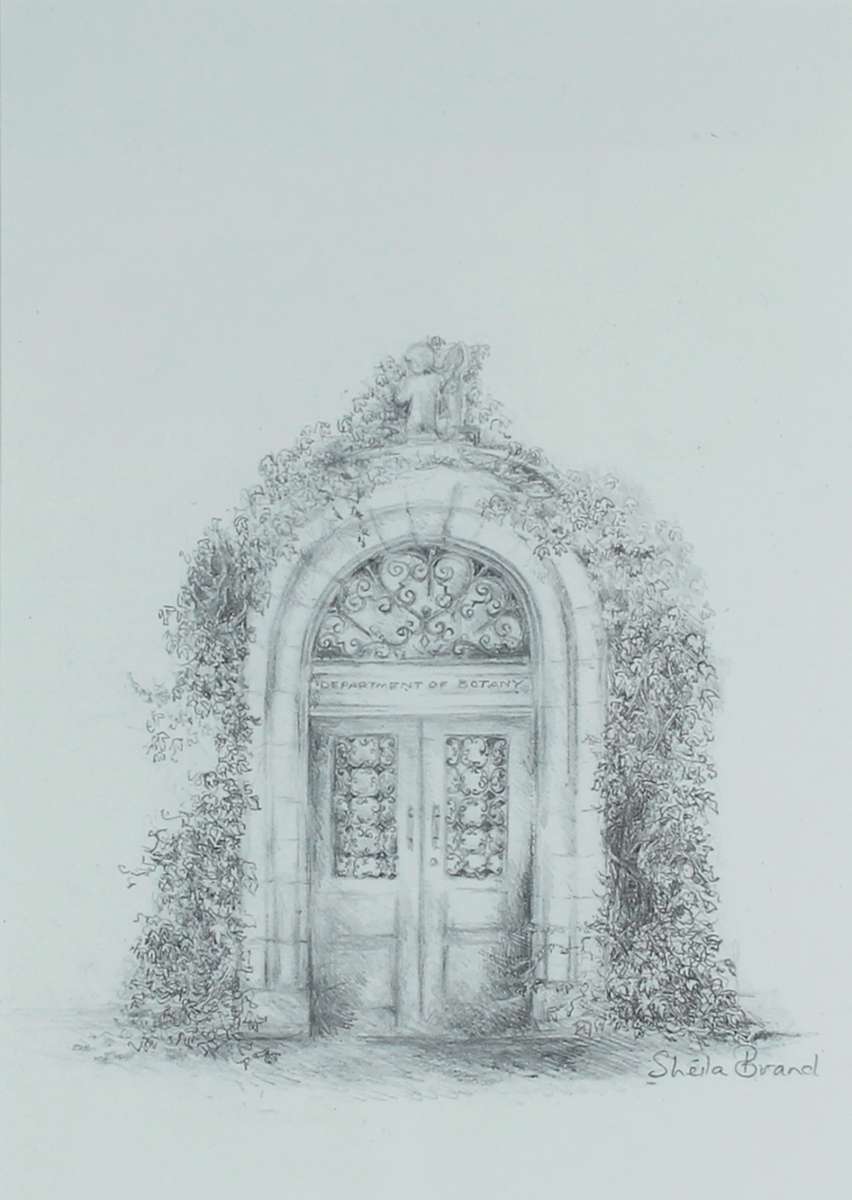 Sheila Brand - Department of Botany UCT