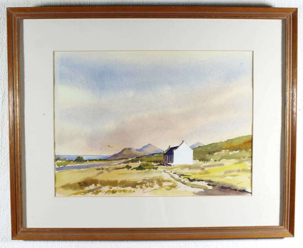 Peter Mills - Cape Point