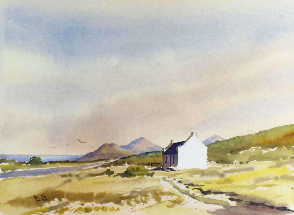 Peter Mills - Cape Point