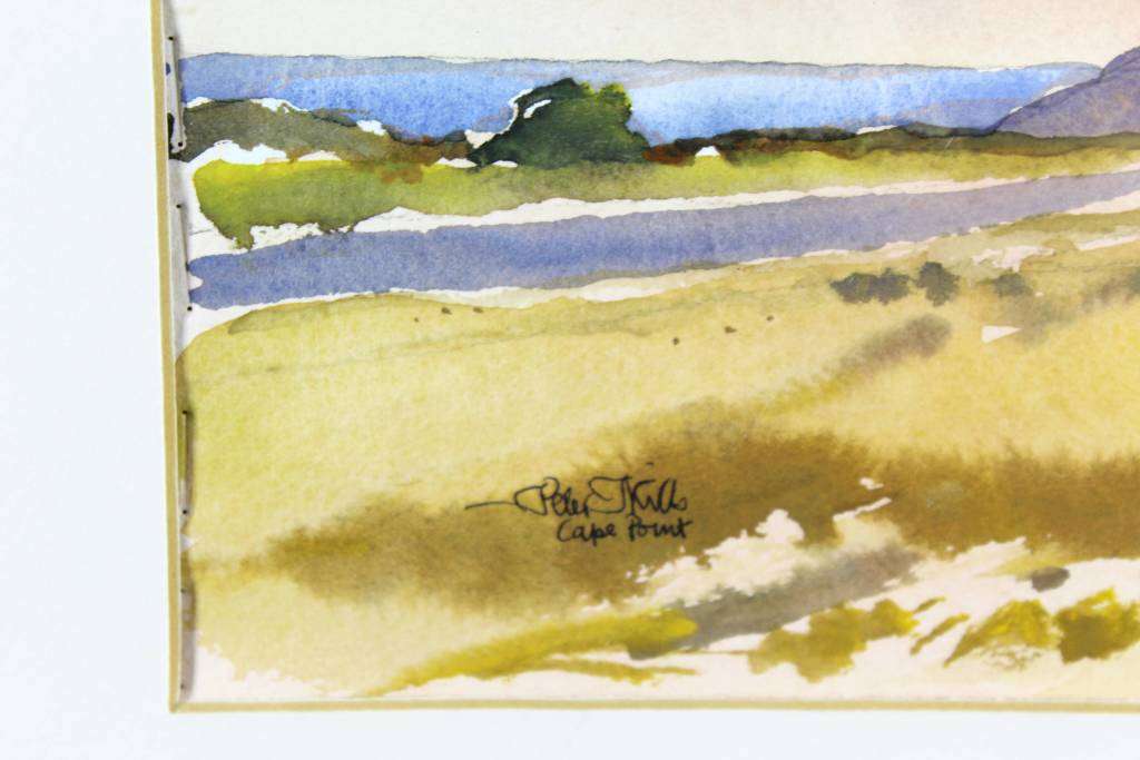 Peter Mills - Cape Point