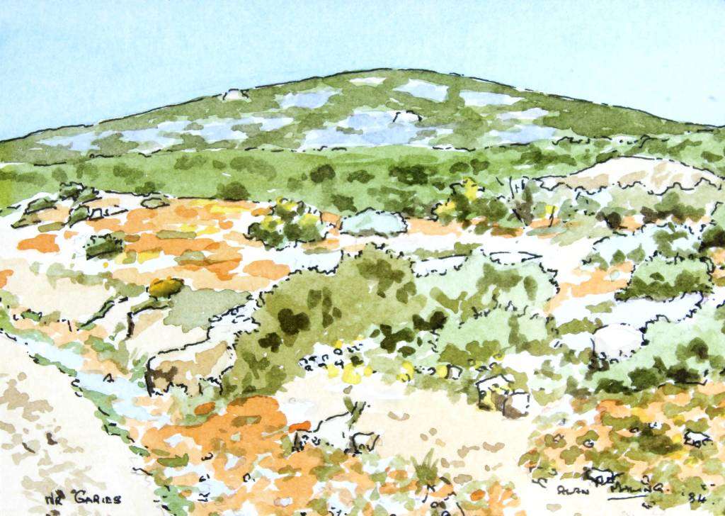 Alan Maling - Near Garies