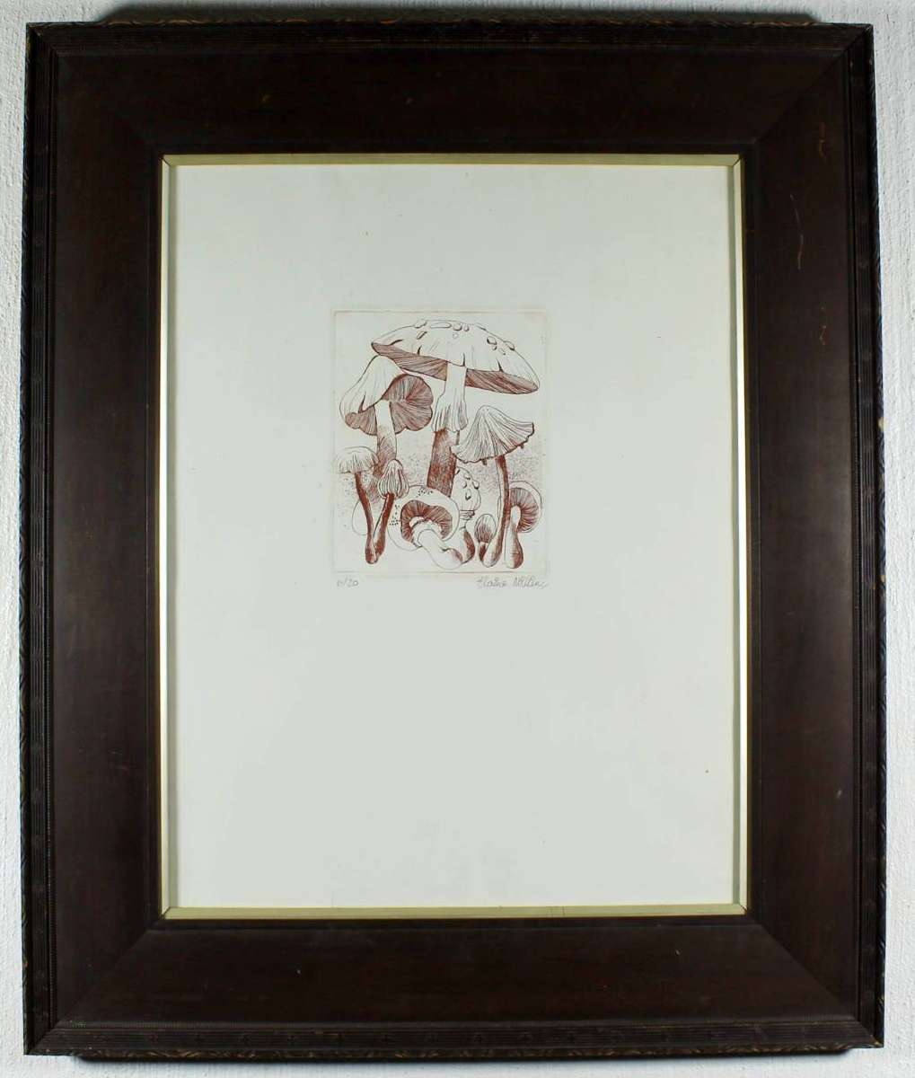 Elaine Millin - Mushrooms