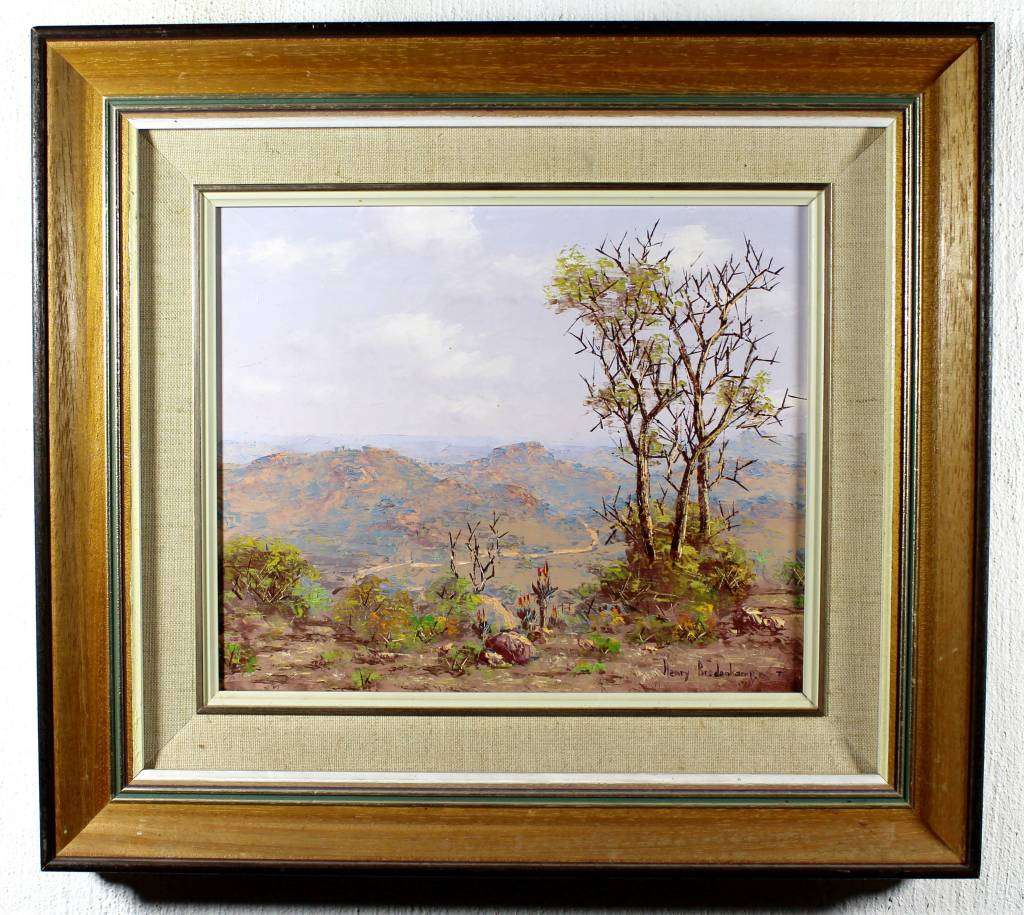 Henry Bredenkamp - Valley with distant road