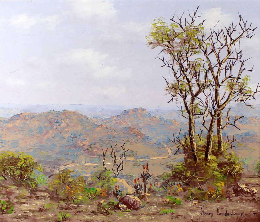 Henry Bredenkamp - Valley with distant road