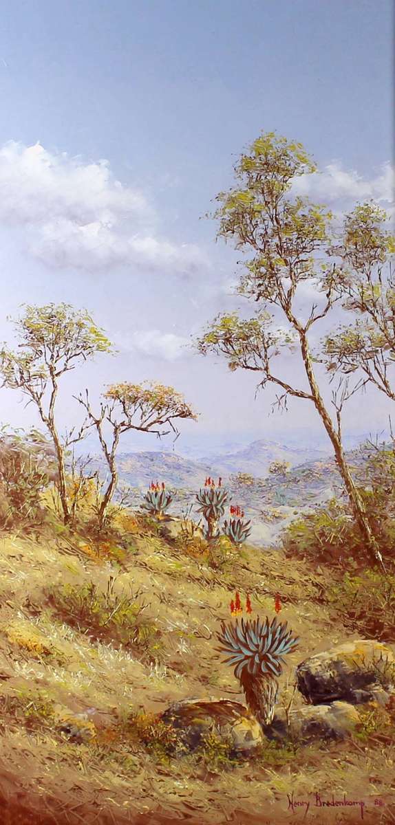Henry Bredenkamp - Aloes in a landscape