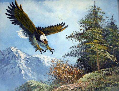 W Amadir - Eagle in attack - A stunning oil painting. Bid now!!