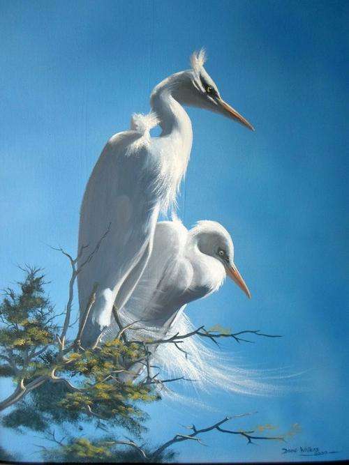 Dane Willers - Egrets - Magnificent wildlife art!! Invest today!!