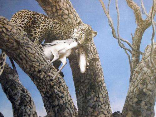 60 Limited edition wild life prints!! 18 Artists! The Directors Collection - The Kill. *Free courier