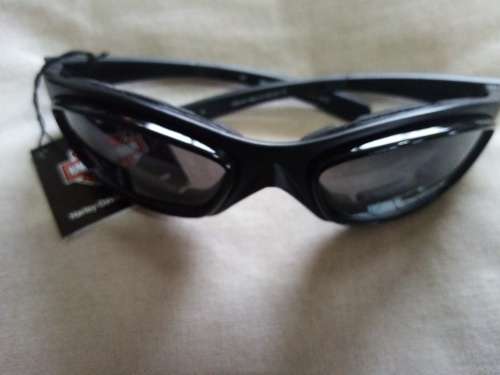 Harley Sun Glasses