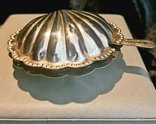  Sea Shell Butter or Caviar Dish with glass insert and spreader