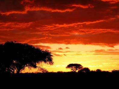 Midweek breakaway at Waterberryhill ( Hazyview) 2-6 November 2 bedroom 4 sleeper