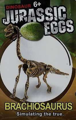 Box Set of 5xJurassic Eggs 3D Skeleton Assembly Set