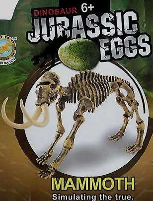 Box Set of 5xJurassic Eggs 3D Skeleton Assembly Set