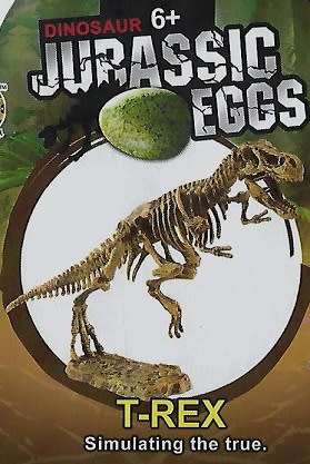 Box Set of 5xJurassic Eggs 3D Skeleton Assembly Set