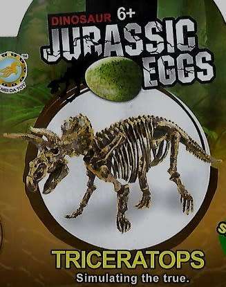 Box Set of 5xJurassic Eggs 3D Skeleton Assembly Set
