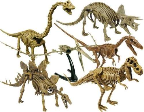 Box Set of 5xJurassic Eggs 3D Skeleton Assembly Set