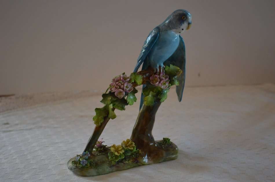 Beautiful, Rare Crown Staffordshire Budgie Budgerigar By J T Jones