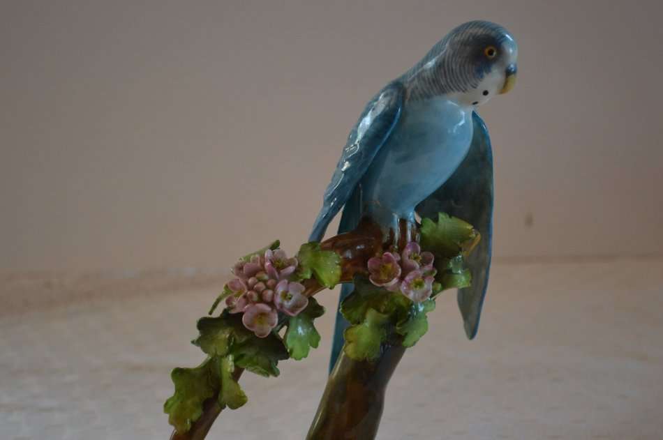 Beautiful, Rare Crown Staffordshire Budgie Budgerigar By J T Jones