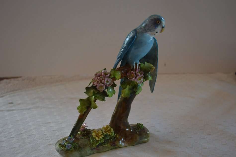Beautiful, Rare Crown Staffordshire Budgie Budgerigar By J T Jones