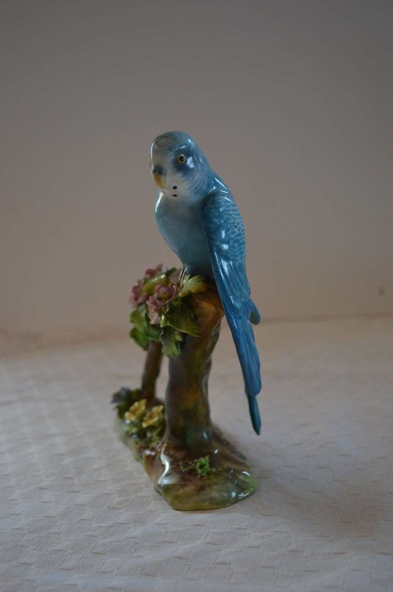 Beautiful, Rare Crown Staffordshire Budgie Budgerigar By J T Jones