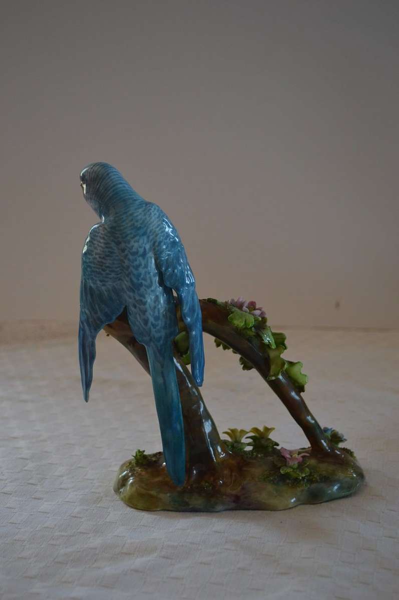 Beautiful, Rare Crown Staffordshire Budgie Budgerigar By J T Jones