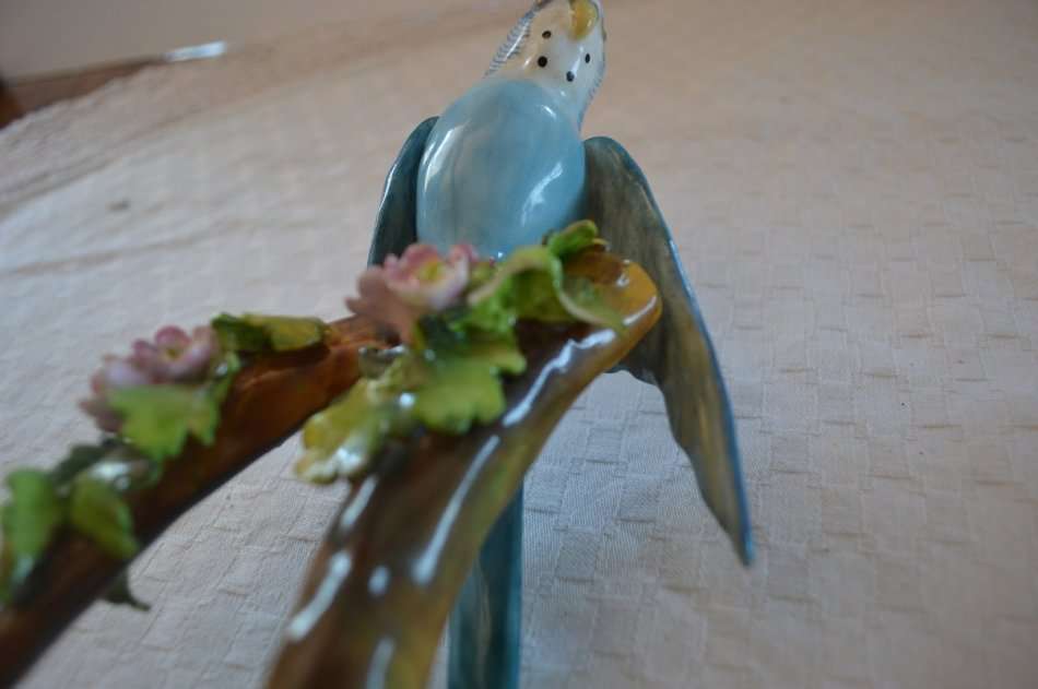 Beautiful, Rare Crown Staffordshire Budgie Budgerigar By J T Jones