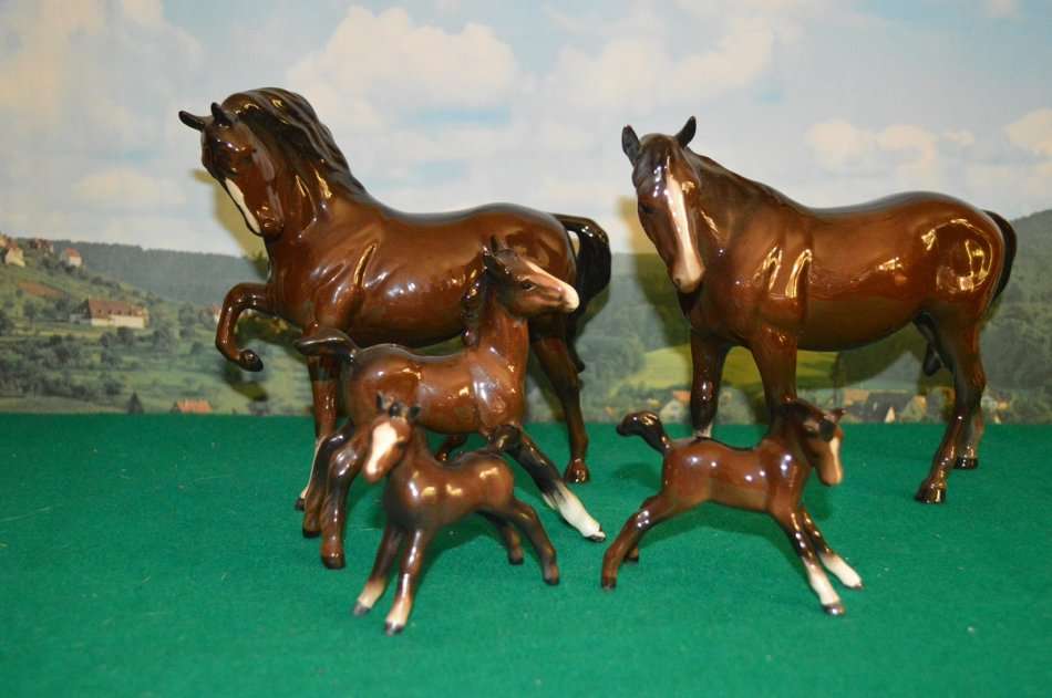 A beautiful set of Beswik chestnut horses with foals
