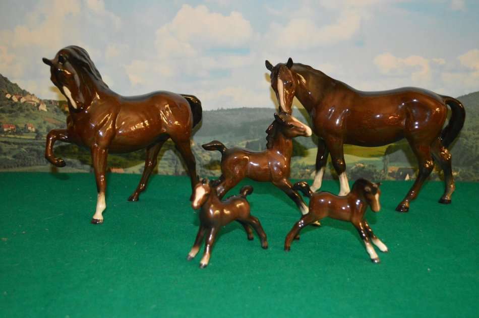 A beautiful set of Beswik chestnut horses with foals
