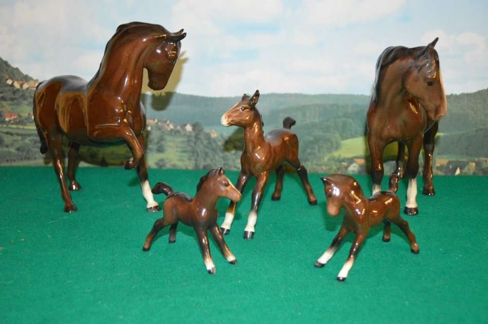 A beautiful set of Beswik chestnut horses with foals
